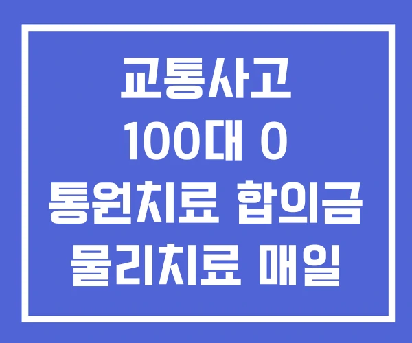 교통사고 100대 0 통원치료 합의금 물리치료 매일 비용 교통사고 100대 0 통원치료 합의금 물리치료 매일 비용