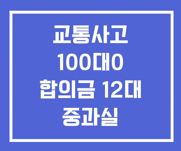 교통사고 100대0 합의금 12대 중과실 교통사고 100대0 합의금 12대 중과실