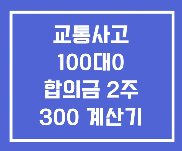 교통사고 100대0 합의금 2주 300 계산기 교통사고 100대0 합의금 2주 300 계산기