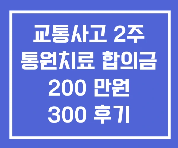 교통사고 2주 통원치료 합의금 200 만원 300 후기 교통사고 2주 통원치료 합의금 200 만원 300 후기