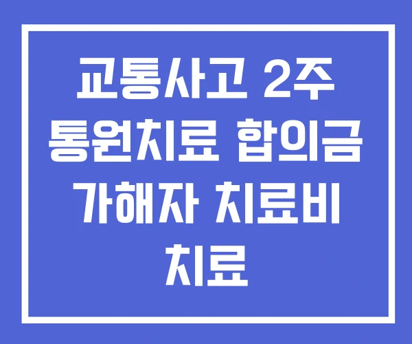 교통사고 2주 통원치료 합의금 가해자 치료비 치료 교통사고 2주 통원치료 합의금 가해자 치료비 치료