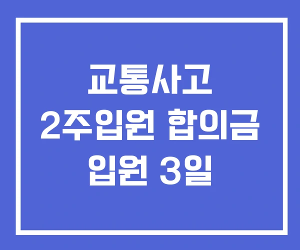 교통사고 2주입원 합의금 입원 3일 교통사고 2주입원 합의금 입원 3일