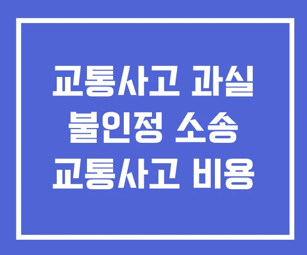 교통사고 과실 불인정 소송 교통사고 비용 교통사고 과실 불인정 소송 교통사고 비용
