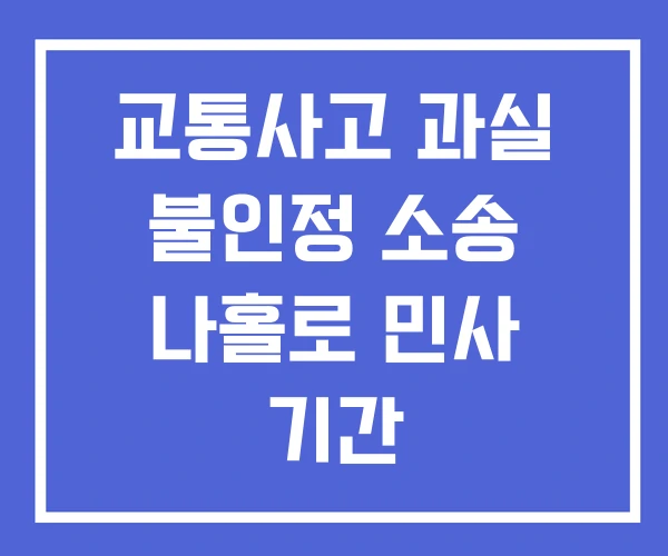 교통사고 과실 불인정 소송 나홀로 민사 기간 교통사고 과실 불인정 소송 나홀로 민사 기간