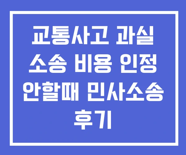 교통사고 과실 소송 비용 인정 안할때 민사소송 후기 교통사고 과실 소송 비용 인정 안할때 민사소송 후기