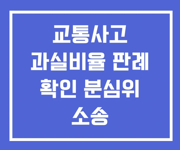 교통사고 과실비율 판례 확인 분심위 소송