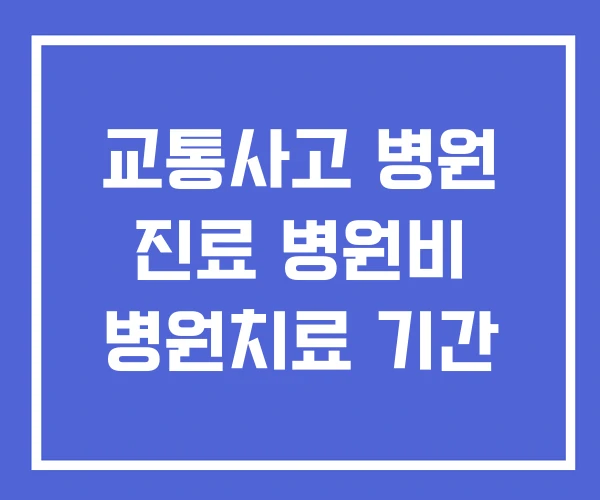 교통사고 병원 진료 병원비 병원치료 기간 교통사고 병원 진료 병원비 병원치료 기간