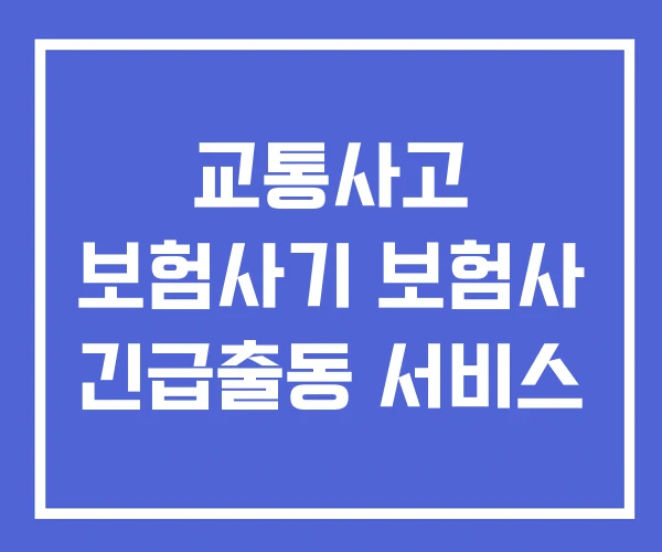 교통사고 보험사기 보험사 긴급출동 서비스 교통사고 보험사기 보험사 긴급출동 서비스