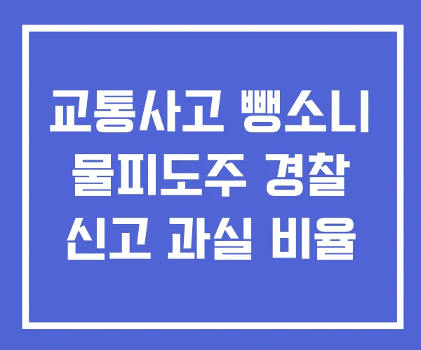 교통사고 뺑소니 물피도주 경찰 신고 과실 비율 교통사고 뺑소니 물피도주 경찰 신고 과실 비율