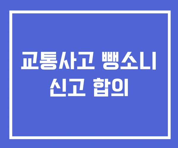 교통사고 뺑소니 신고 합의
