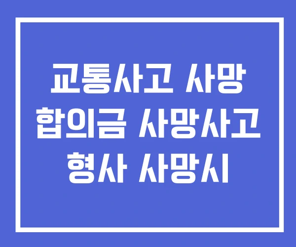 교통사고 사망 합의금 사망사고 형사 사망시