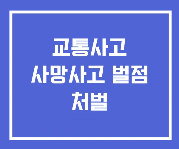 교통사고 사망사고 벌점 처벌 교통사고 사망사고 벌점 처벌