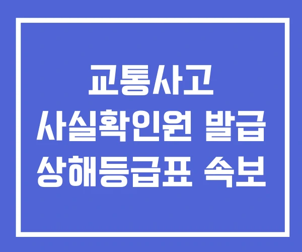 교통사고 사실확인원 발급 상해등급표 속보