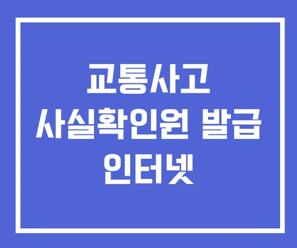 교통사고 사실확인원 발급 인터넷