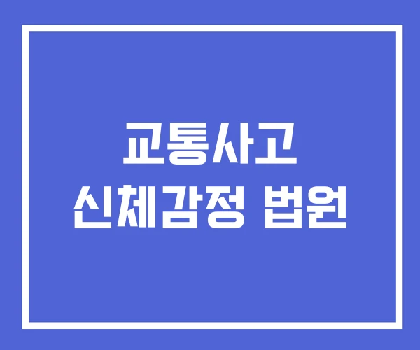 교통사고 신체감정 법원 교통사고 신체감정 법원