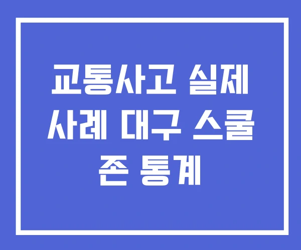 교통사고 실제 사례 대구 스쿨 존 통계