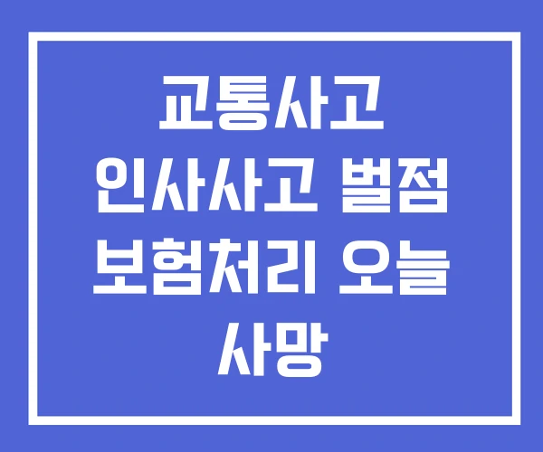 교통사고 인사사고 벌점 보험처리 오늘 사망 교통사고 인사사고 벌점 보험처리 오늘 사망