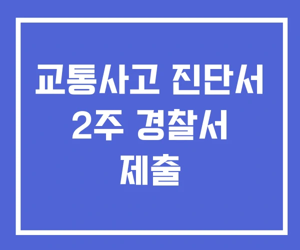 교통사고 진단서 2주 경찰서 제출 교통사고 진단서 2주 경찰서 제출