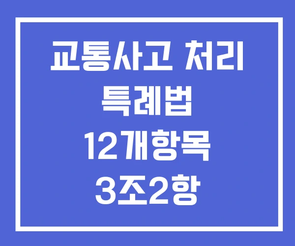 교통사고 처리 특례법 12개항목 3조2항 교통사고 처리 특례법 12개항목 3조2항