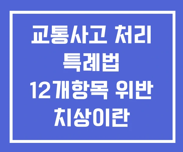 교통사고 처리 특례법 12개항목 위반 치상이란 교통사고 처리 특례법 12개항목 위반 치상이란
