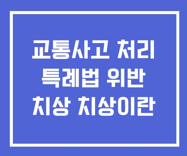 교통사고 처리 특례법 위반 치상 치상이란 교통사고 처리 특례법 위반 치상 치상이란