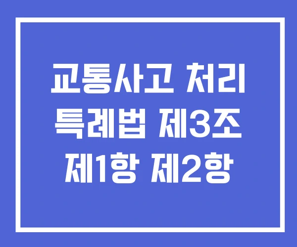 교통사고 처리 특례법 제3조 제1항 제2항 교통사고 처리 특례법 제3조 제1항 제2항
