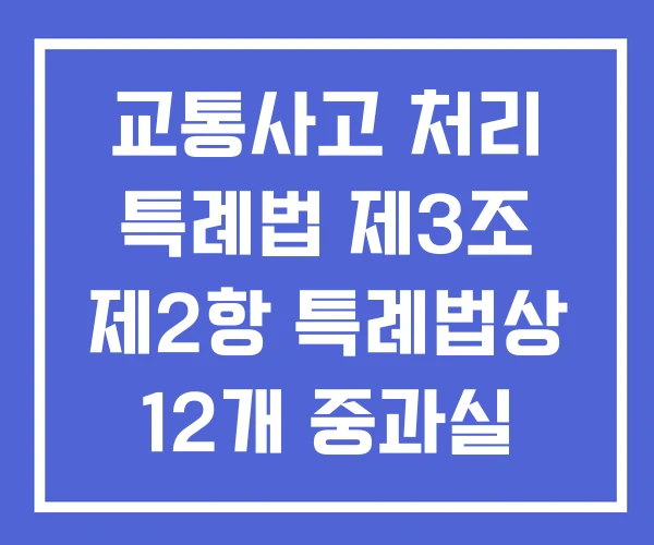 교통사고 처리 특례법 제3조 제2항 특례법상 12개 중과실