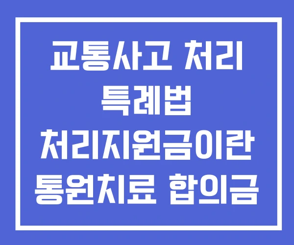 교통사고 처리 특례법 처리지원금이란 통원치료 합의금 교통사고 처리 특례법 처리지원금이란 통원치료 합의금