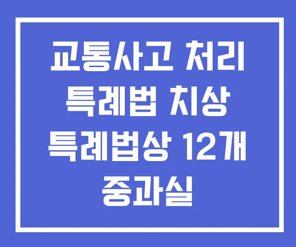 교통사고 처리 특례법 치상 특례법상 12개 중과실 특례법위반 치사 교통사고 처리 특례법 치상 특례법상 12개 중과실 특례법위반 치사