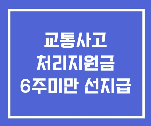 교통사고 처리지원금 6주미만 선지급