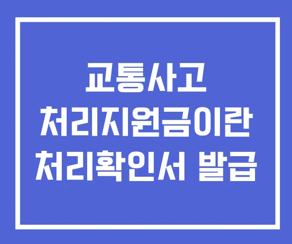 교통사고 처리지원금이란 처리확인서 발급 교통사고 처리지원금이란 처리확인서 발급