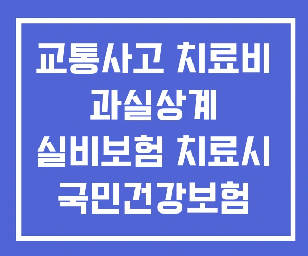 교통사고 치료비 과실상계 실비보험 치료시 국민건강보험 적용 교통사고 치료비 과실상계 실비보험 치료시 국민건강보험 적용
