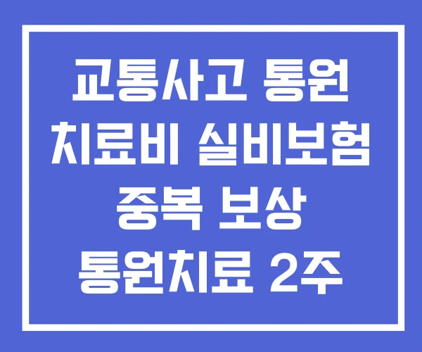 교통사고 통원 치료비 실비보험 중복 보상 통원치료 2주 합의금 교통사고 통원 치료비 실비보험 중복 보상 통원치료 2주 합의금