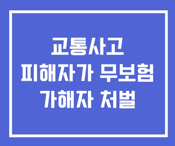 교통사고 피해자가 무보험 가해자 처벌 교통사고 피해자가 무보험 가해자 처벌