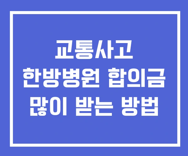 교통사고 한방병원 합의금 많이 받는 방법 교통사고 한방병원 합의금 많이 받는 방법