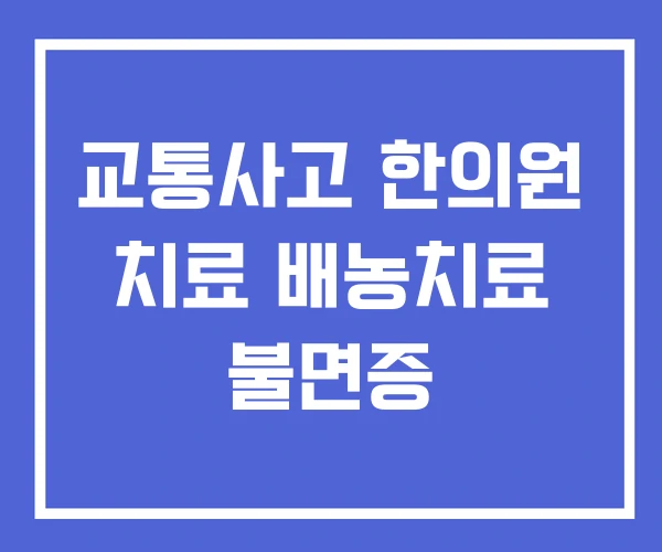 교통사고 한의원 치료 배농치료 불면증 교통사고 한의원 치료 배농치료 불면증