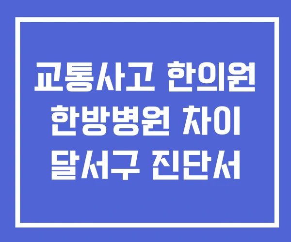 교통사고 한의원 한방병원 차이 달서구 진단서 교통사고 한의원 한방병원 차이 달서구 진단서
