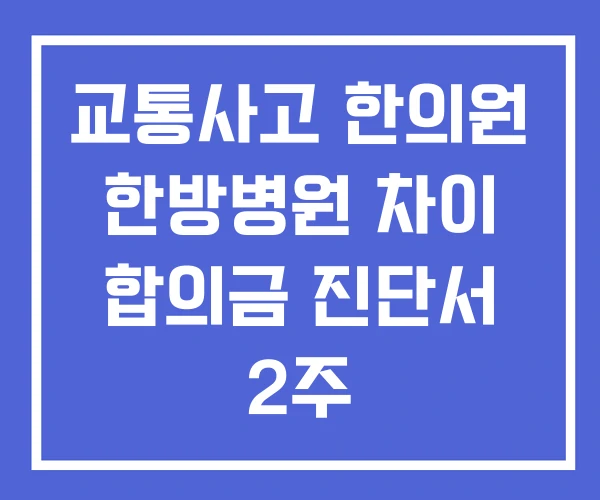 교통사고 한의원 한방병원 차이 합의금 진단서 2주 교통사고 한의원 한방병원 차이 합의금 진단서 2주