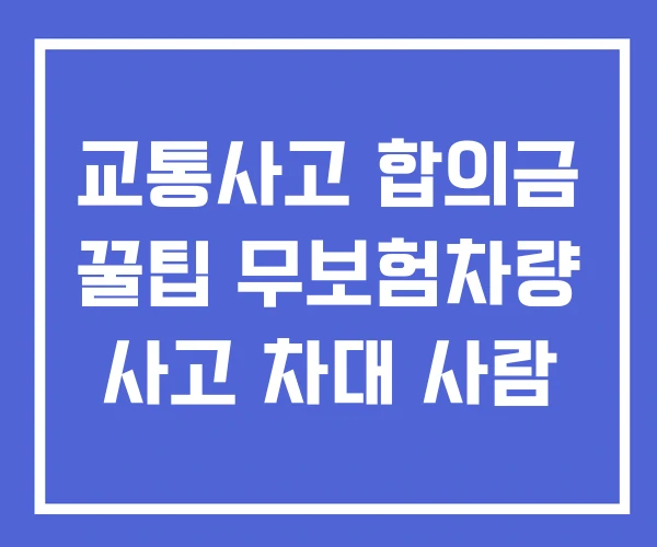 교통사고 합의금 꿀팁 무보험차량 사고 차대 사람 교통사고 합의금 꿀팁 무보험차량 사고 차대 사람