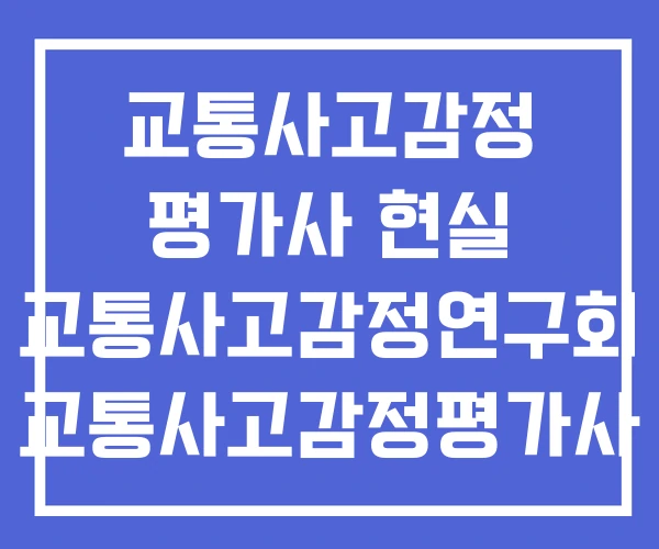 교통사고감정 평가사 현실 교통사고감정연구회 교통사고감정평가사