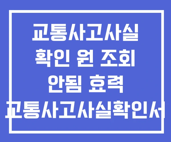 교통사고사실 확인 원 조회 안됨 효력 교통사고사실확인서 보험사