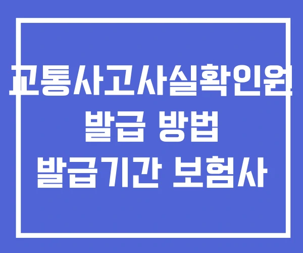 교통사고사실확인원 발급 방법 발급기간 보험사 교통사고사실확인원 발급 방법 발급기간 보험사
