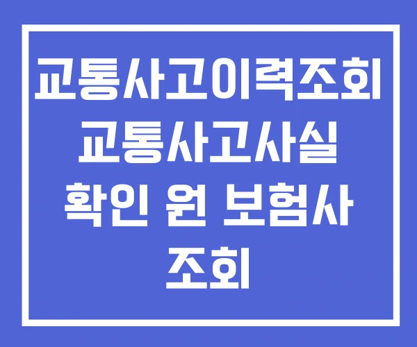 교통사고이력조회 교통사고사실 확인 원 보험사 조회