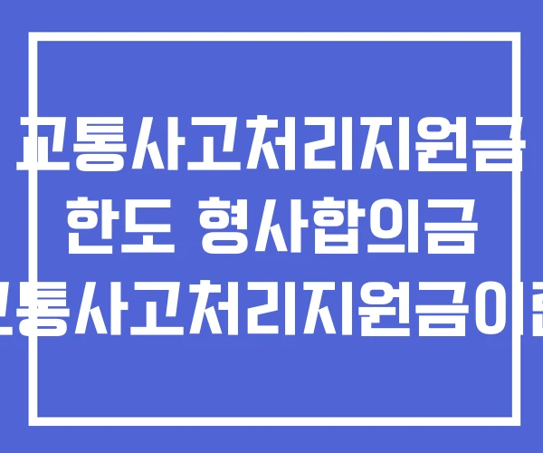 교통사고처리지원금 한도 형사합의금 교통사고처리지원금이란