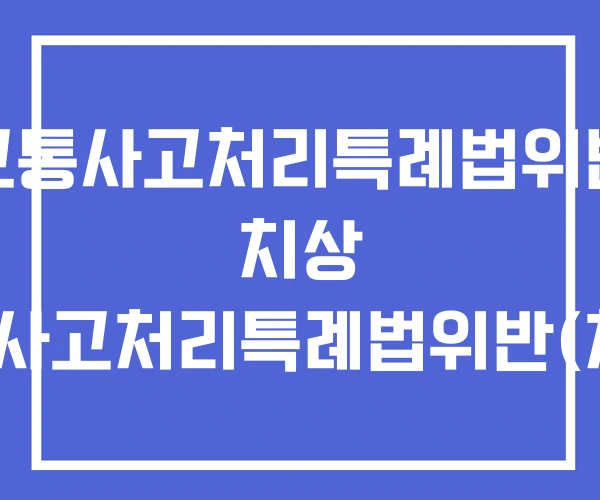 교통사고처리특례법위반 치상 교통사고처리특례법위반(치상) 교통사고처리특례법위반 치상 교통사고처리특례법위반(치상)