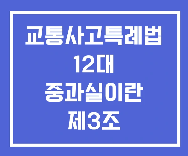 교통사고특례법 12대 중과실이란 제3조 교통사고특례법 12대 중과실이란 제3조