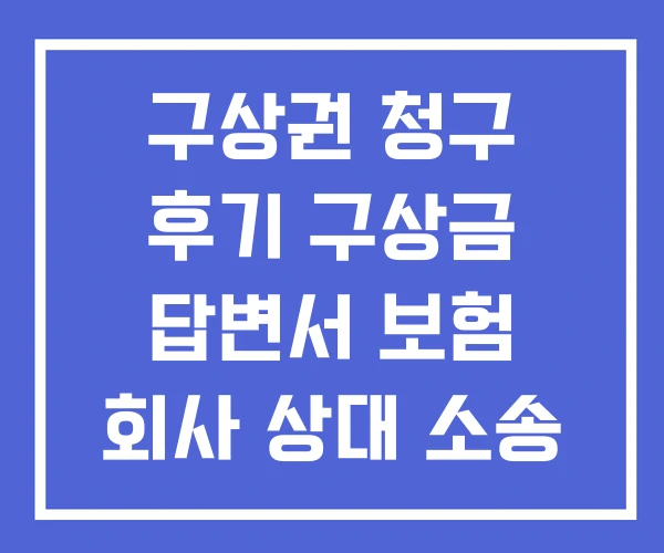 구상권 청구 후기 구상금 답변서 보험 회사 상대 소송