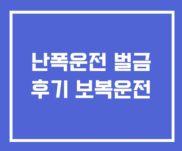난폭운전 벌금 후기 보복운전