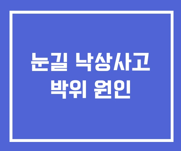 눈길 낙상사고 박위 원인