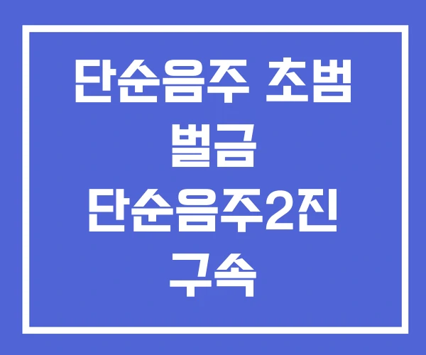 단순음주 초범 벌금 단순음주2진 구속